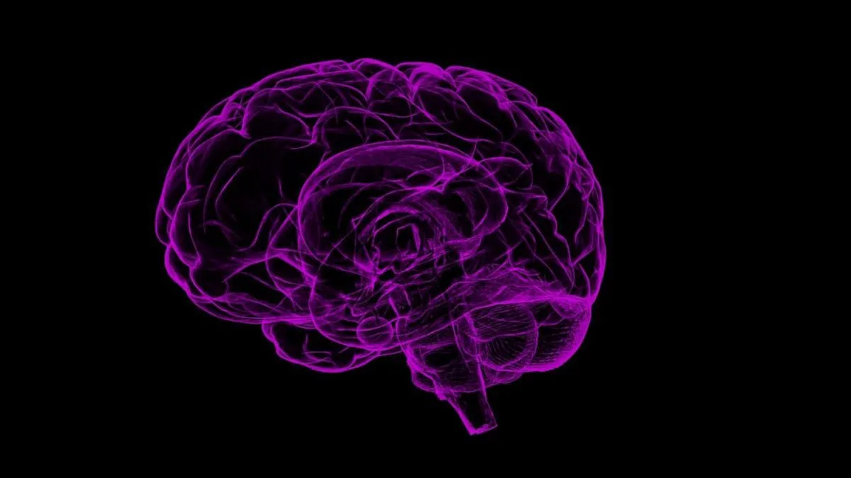 Lab-Grown Brain Models: A Game-Changer for Neurological Research