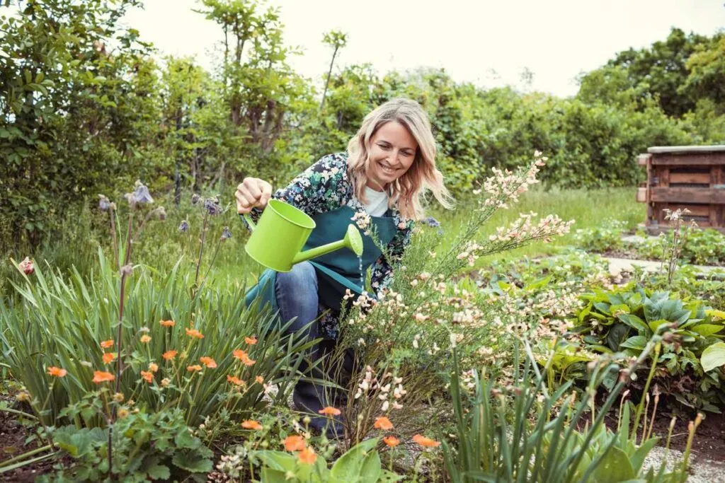 Embracing Chaos: The Rise of Punk Gardening
