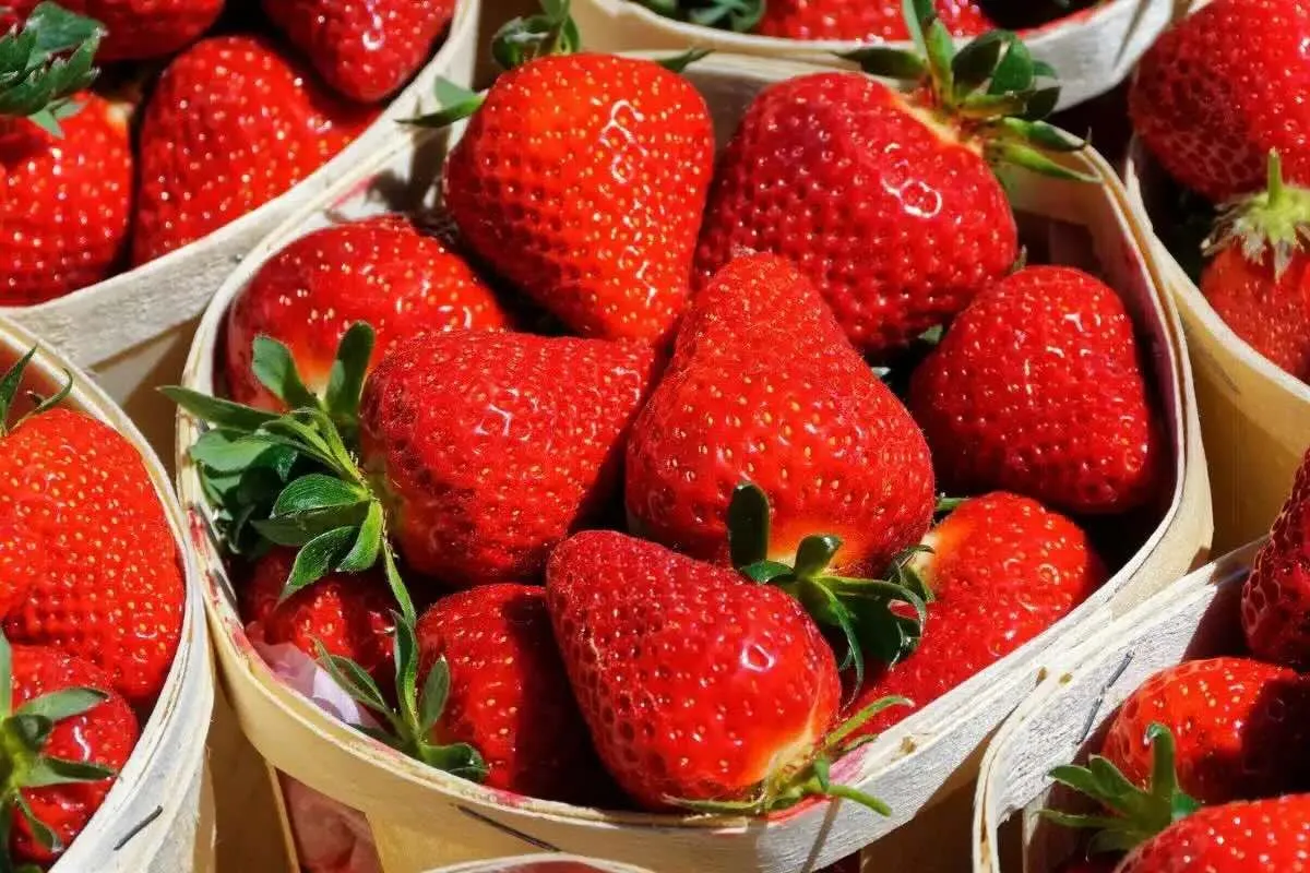 How to Keep Strawberries Fresh and Delicious