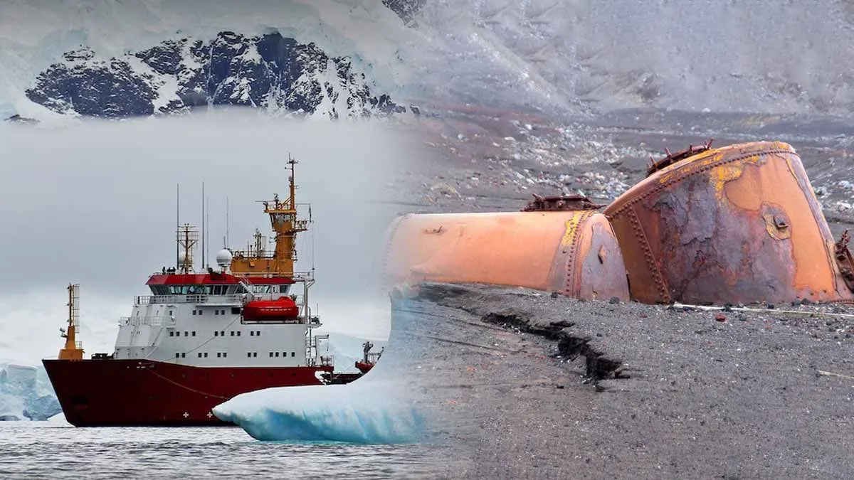 Discovering the Weddell Sea: A Potential Energy Game-Changer in Antarctica